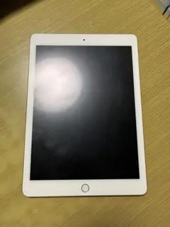 169 iPad Pro 9.7インチ 256GB