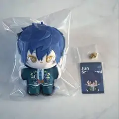 あんスタ 漣ジュン TRIP ぬい