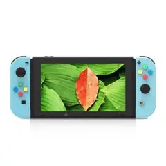 Myriann 任天堂 Nintendo Switch ニンテンドー カラー置換