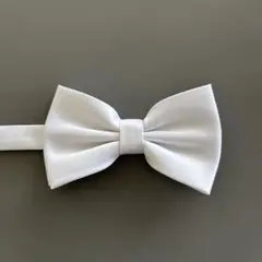 Item thumbnail for item 96050c2e-2fab-49e3-ad16-d1bff61a8522