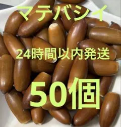 Item thumbnail for item 08f246b6-e1f6-441b-9178-b530004e48a2