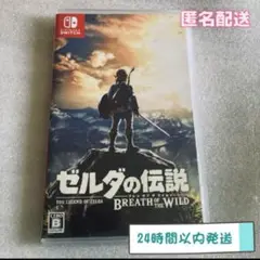 ゼルダの伝説 ブレス オブ ザ ワイルド Nintendo Switch