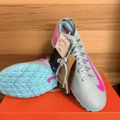 Item thumbnail for item 4fc9d734-81fc-4892-b789-8678acf5d571