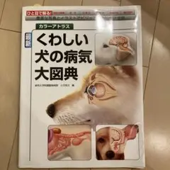 くわしい犬の病気大図典