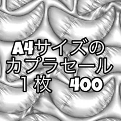 A4サイズのカプラ