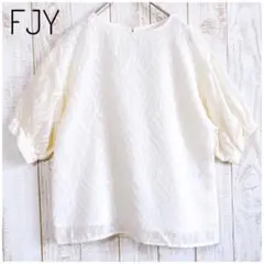 【FJY】シフォンブラウスカットソー 刺繍レース ぽわん袖 五分袖 可愛い XS
