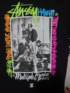 STUSSYのTシャツ