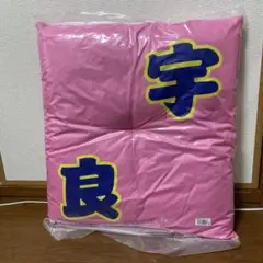 大相撲　小結・宇良　関取座布団