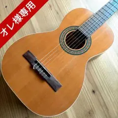 お気軽なパーラーギター❗️スロテッドヘッド　ARIA Legend 調整済❗️ 2025年最新】アリア パーラーギターの人気アイテム - メルカリ