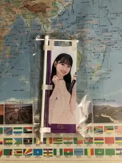 Item thumbnail for item 9cbc1c1e-e8e6-43e5-b063-408f744620d4