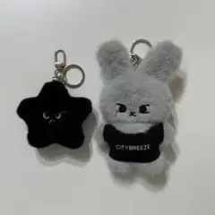 楽天市場】CITYBREEZ x DOYOUNG [ SNAPPY KEYRING