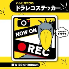 【ハシビロコウのドラレコステッカー】ドライブレコーダー カーステッカー 防犯