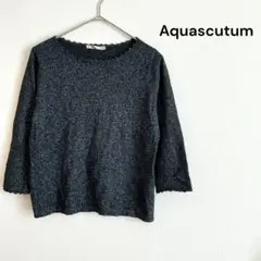 Item thumbnail for item 1a815dd0-3b74-4d11-8203-cce46605aff4