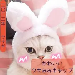うさ耳キャップ ネコ 猫 ウサギ 年賀状 ふわふわ モコモコ コスプレ 可愛い