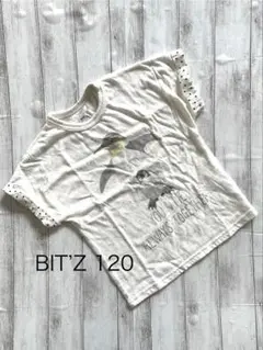 ビッツ　ペンギン　Tシャツ　120