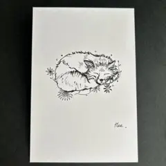 ボールペン画　きつね