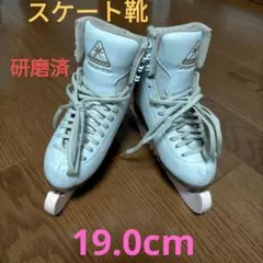 スケート靴 ジャクソンアーティストプラス 19.0cm