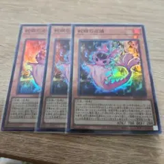 遊戯王 蛇眼の炎燐 スーパー 3枚 400
