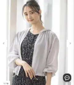 エニィスィス　新品　【接触冷感】シアー パーカー