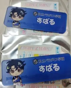 すばる 　ネームプレートマグネットコレクション ひみつのアイプリ　アイプリ