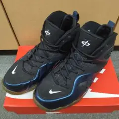 ペニー28cm★Nike Air zoom rookie ズームルーキー 黒青