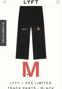 Item thumbnail for item 6b38e74e-1ca1-4ed1-a75a-ac55104f0533