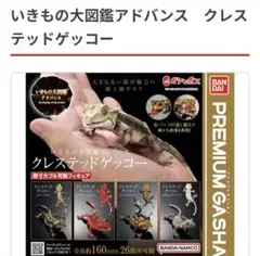 いきもの大図鑑アドバンス クレステッドゲッコー