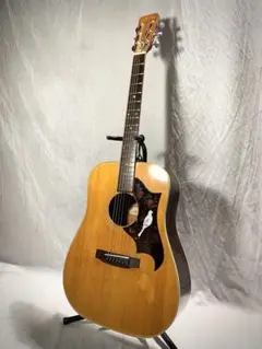 ビンテージ フェルナンデス No.100 FERNANDES アコギ 日本製 FERNANDES APG-100 1995年頃 Used 1189308 FERNANDES
