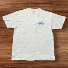 90s Hanes Tシャツ usa製 非政府組織 ASP バックプリント レア