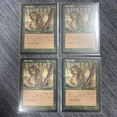 MTG 新緑の魔力 JP 4枚セット