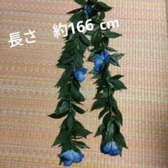 フラダンス マイレレイ オープンタイプ