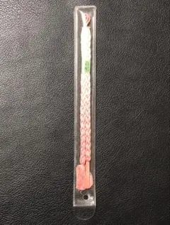 Item thumbnail for item 53975df1-c9a6-4223-b277-1819a8091327