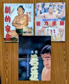 ’93 劇的家族・ ‘98代66代日下開山【若乃花勝 】 2冊 ・ポスター付き❢