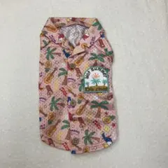 Item thumbnail for item 93bf2ad9-5503-4966-86a5-320cb189bf04