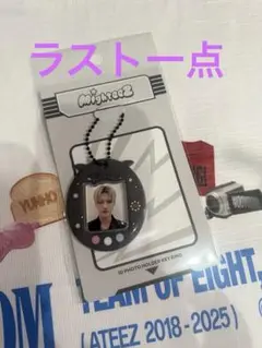 Item thumbnail for item 067b5c7c-c0ca-4f90-9e38-2c672618bbaf