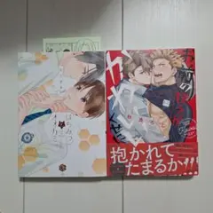 BLコミックセット