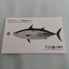 2025年最新】むろと廃校水族館の人気アイテム - メルカリ