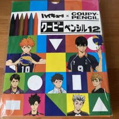 ハイキュー‼︎ クーピーペンシル12