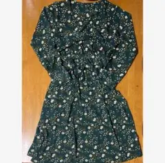 Item thumbnail for item 55bcdc08-fa71-4037-9a84-a12485a8ae67