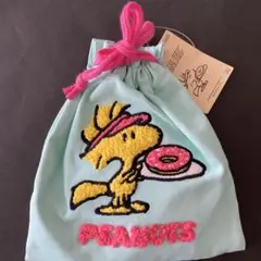 ウッドストックサガラ刺繍巾着（ミントグリーン）