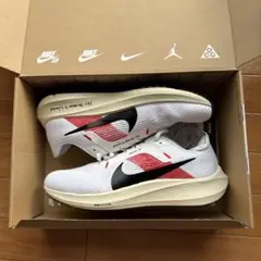 Nike Pegasus 40 EK 28.0cm