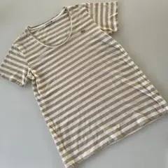 LACOSTE ストライプ 半袖Tシャツ 38
