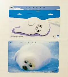 アザラシ　テレホンカード　使用済み