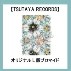 Aimer 太陽が昇らない世界 TSUTAYA 特典 ブロマイド