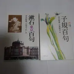 子規百句　坪内稔典　小西昭夫　創風社出版　2冊セット