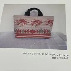 輝い ランキング第1位 こうの早苗ヘキサゴンのバックインバック