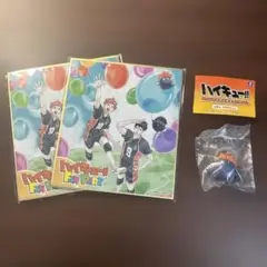 ハイキュー　ファンパーク　ミニ色紙　ノベルティ　２枚 おまけ付き ヒナガラス