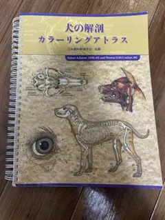 ベテリナリー・アナトミー　犬と猫の解剖カラーアトラス　第2版　裁断済み Amazon.co.jp: ベテリナリ-・アナトミ-: 犬と猫の解剖カラ