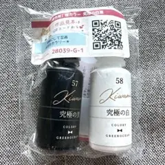 【人気商品】隠れ家工房 GreenOceanレジン用カラー 究極の黒 究極の白