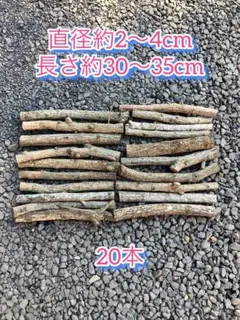 Item thumbnail for item 54400197-07a2-4619-8234-9e2e98b8fc48